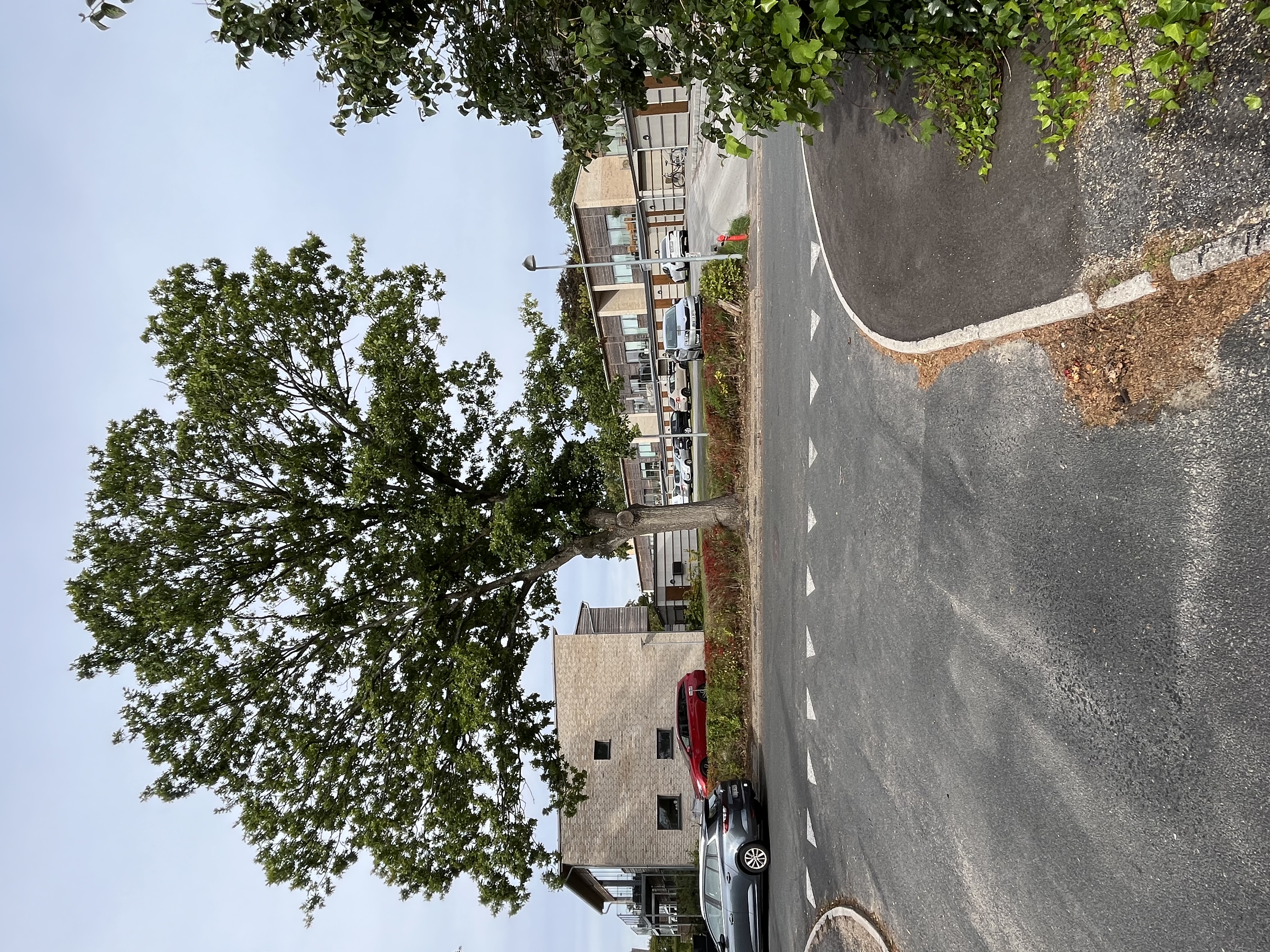 Teglværksbakken i Ålsgårde - Billede 3